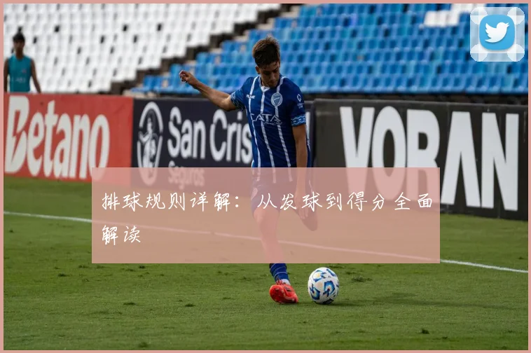 排球规则详解：从发球到得分全面解读