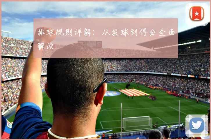 排球规则详解：从发球到得分全面解读