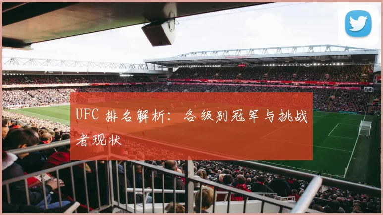 UFC 排名解析：各级别冠军与挑战者现状