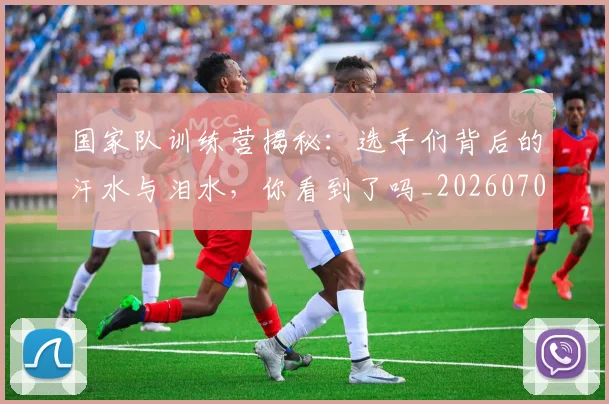 国家队训练营揭秘:选手们背后的汗水与泪水,你看到了吗_20260707013514